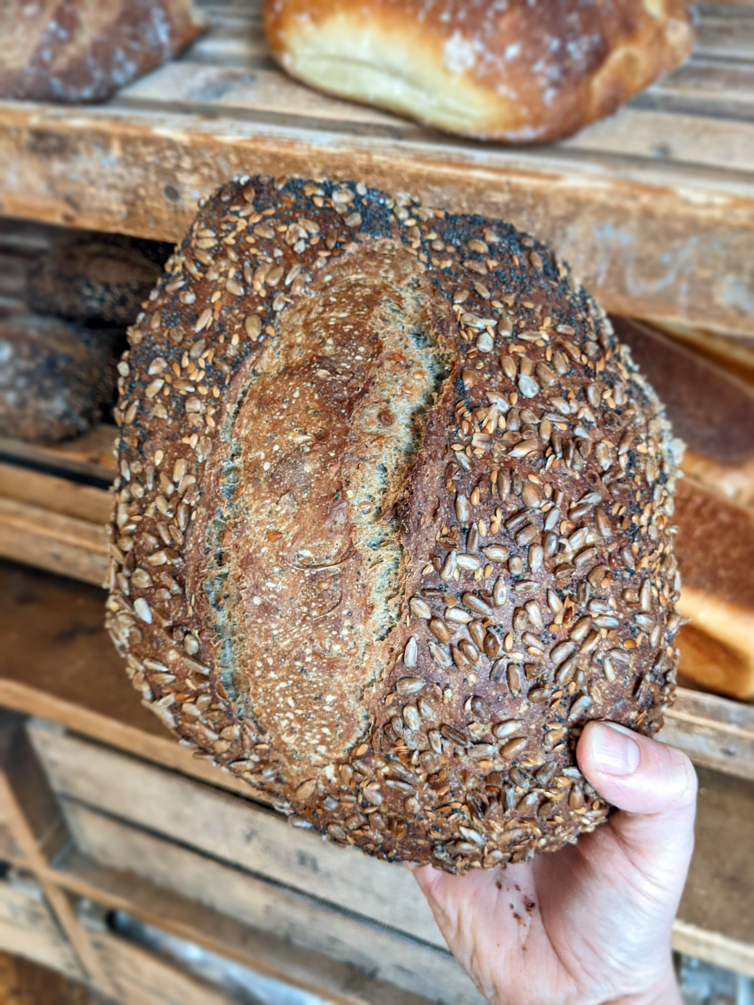 Heritage Seeded - Image 3