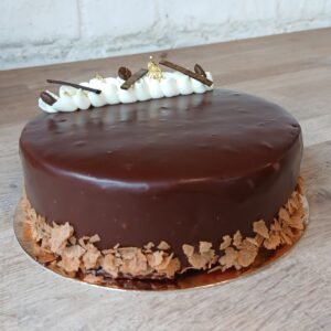 Coffee and Chocolate Dome (Large)
